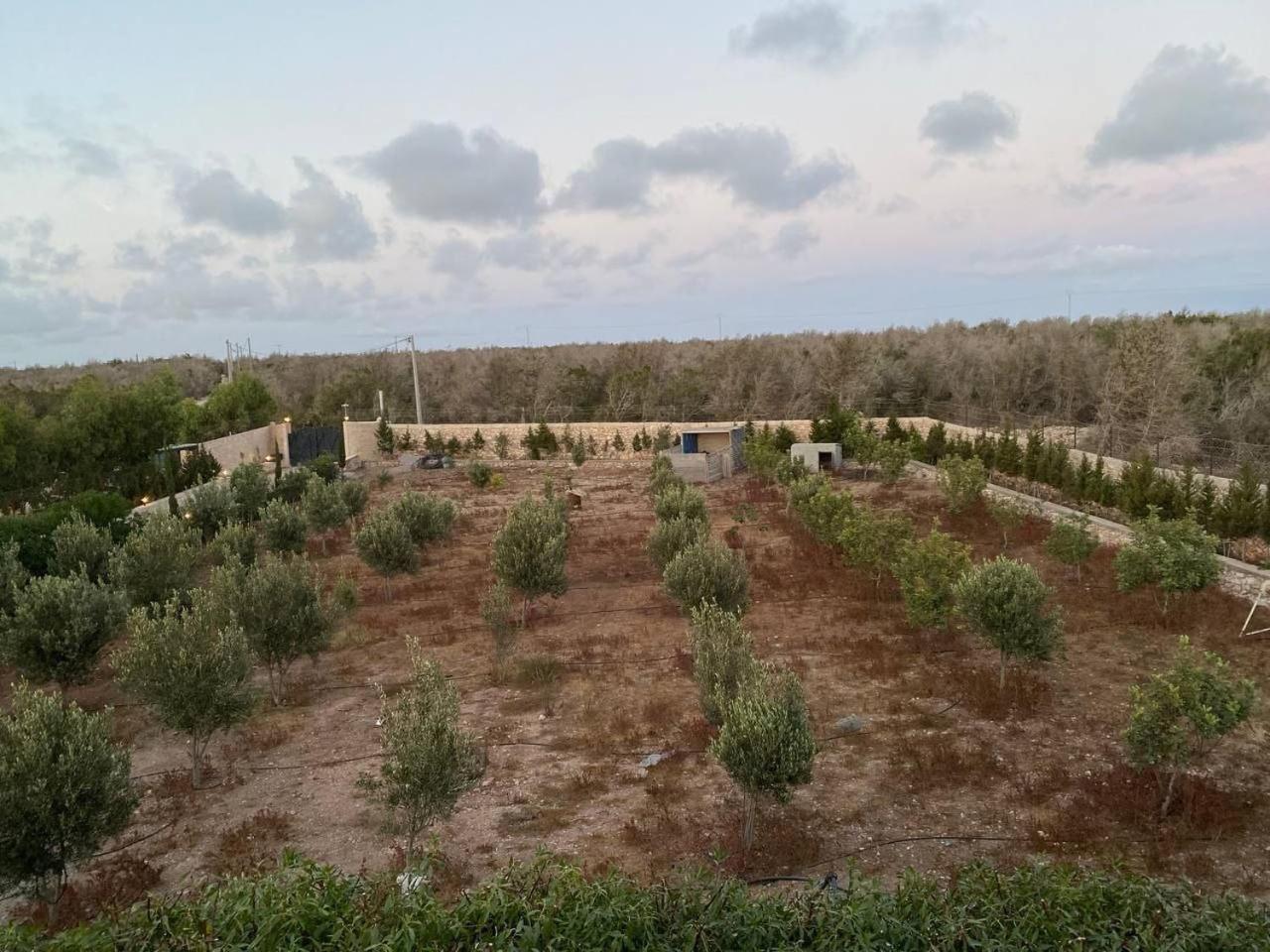 Villa Laarich Essaouira Exterior foto